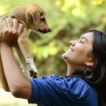 Adopting a Pet from the Shelter in Delaware, Ohio: Age Restrictions Explained